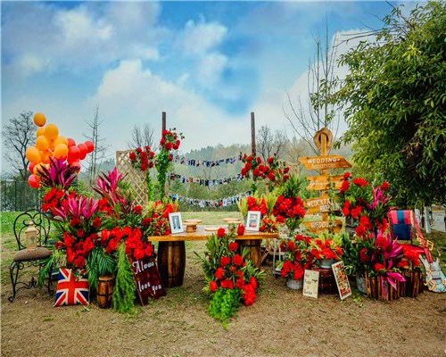 成都婚禮酒店預(yù)訂 成都婚禮酒店預(yù)訂