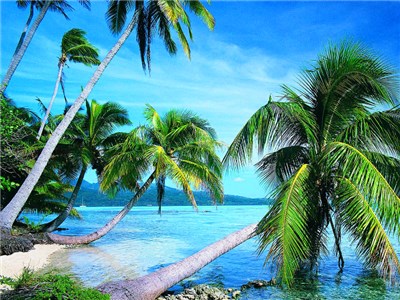 成都婚宴酒店 成都婚宴酒店