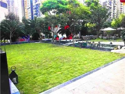 成都草坪婚禮場(chǎng)地