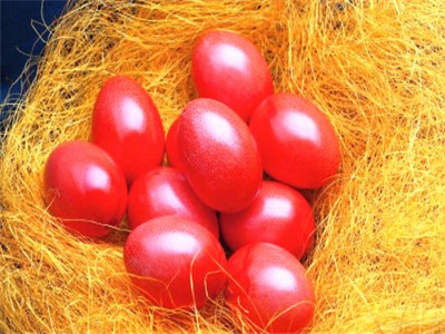 成都滿月酒 成都滿月酒