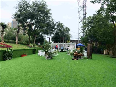 三圣鄉(xiāng)草坪婚禮場地 三圣鄉(xiāng)草坪婚禮場地