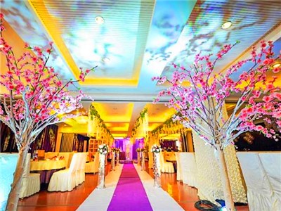 成都北門婚宴酒店預(yù)訂 成都北門婚宴酒店預(yù)訂