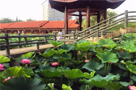 成都婚宴 成都婚宴