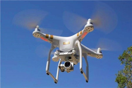 婚禮送戒指創(chuàng)意 婚禮送戒指創(chuàng)意