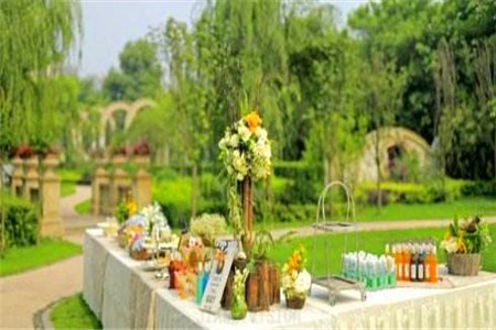 成都草坪婚禮 成都草坪婚禮