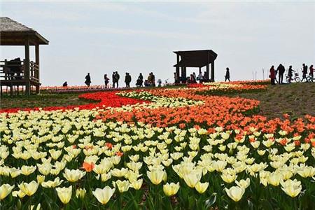 三圣鄉(xiāng)適合辦婚禮的地方 三圣鄉(xiāng)適合辦婚禮的地方